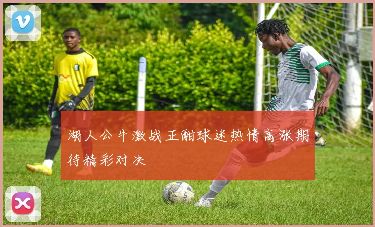 湖人公牛激战正酣球迷热情高涨期待精彩对决