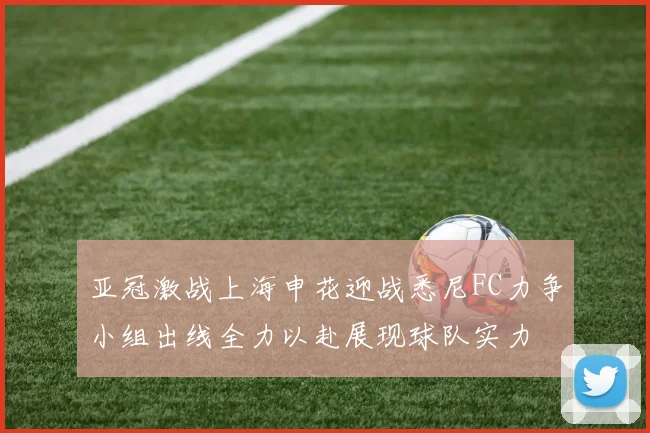 亚冠激战上海申花迎战悉尼FC力争小组出线全力以赴展现球队实力